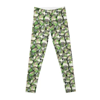 Гамаши Conures със зелени бузките, спортни панталони, дамски панталони, дрехи за фитнес, спортни панталони, дамски гамаши